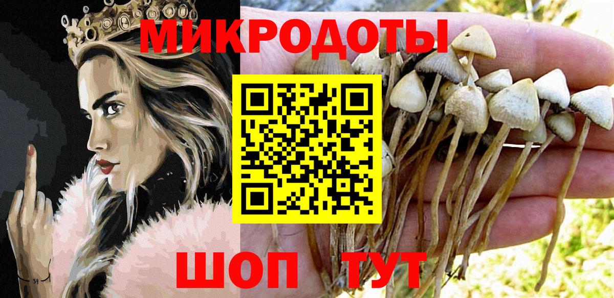 Псилоцибиновые грибы прущие грибы  Вход с VPN  наркотики  Большой Камень  Галлюциногенные грибы Psilocybine cubensis 